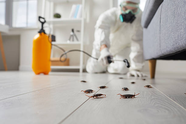 Trusted Fumigation Services service in Harrisburg, OR - Nex Pest Control